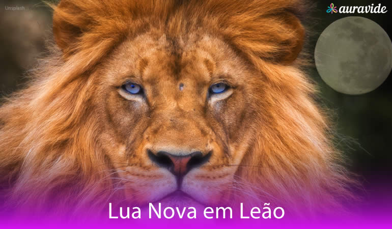 Lua Nova em Leão