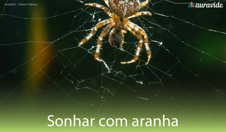 Significado sonho com aranha